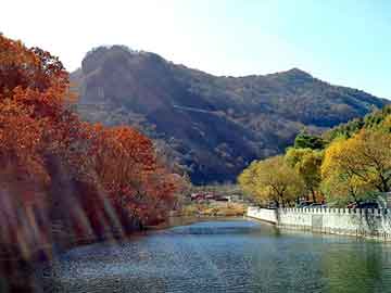 澳门天天开奖免费资料，鬼村